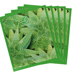 DAINTY 丹堤 蘆薈面膜（買12送3) 